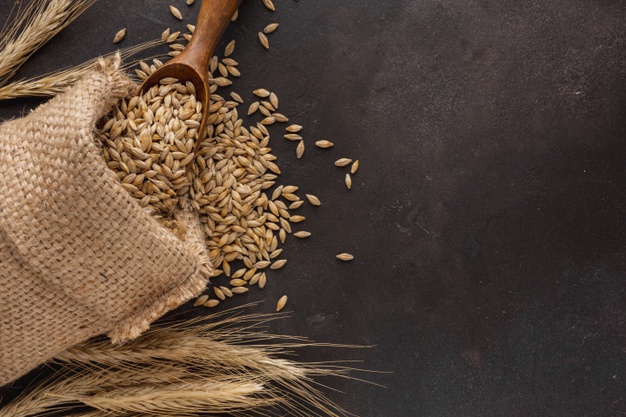 Čeká USA nedostatek pšenice?